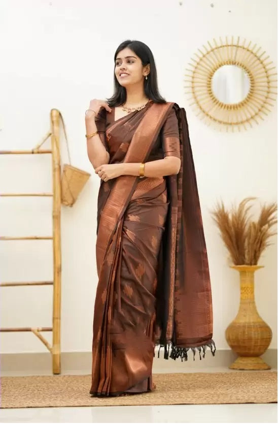 Brown Jacquard Boarder Copper Divya Kanjivaram Silk Saree