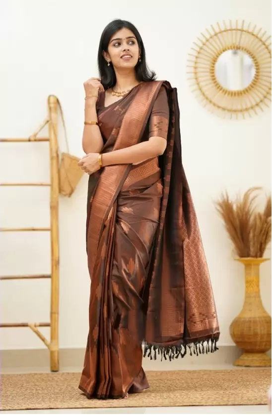 Brown Jacquard Boarder Copper Divya Kanjivaram Silk Saree