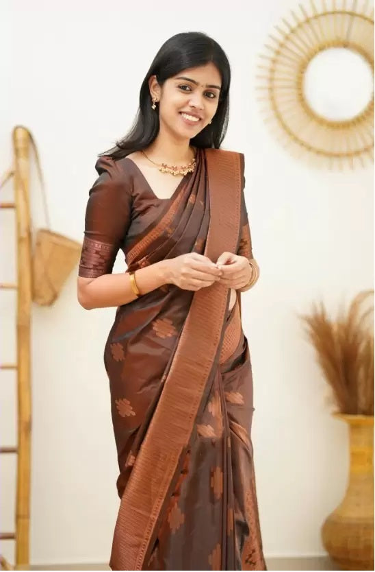 Brown Jacquard Boarder Copper Divya Kanjivaram Silk Saree