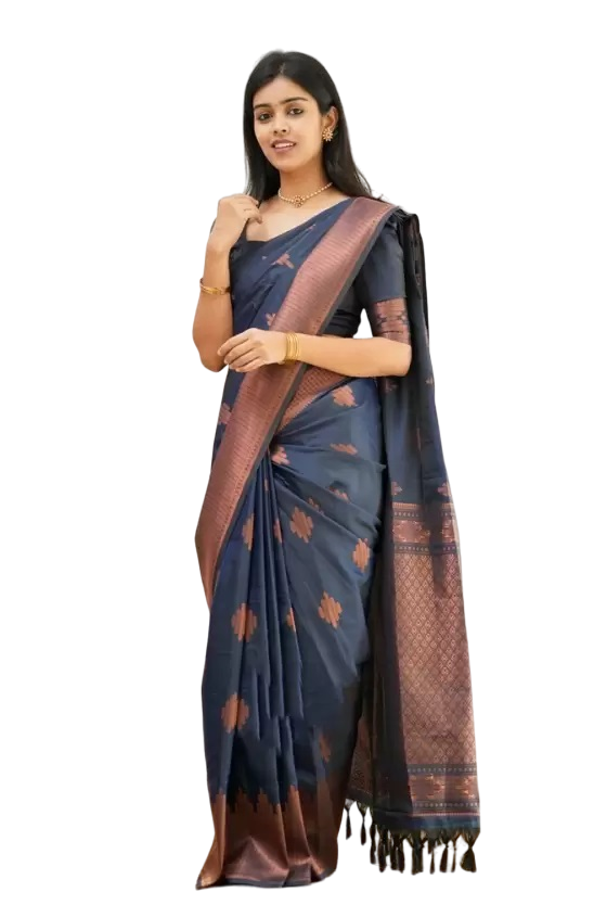 Navy Blue Jacquard Boarder Copper Divya Kanjivaram Silk Saree