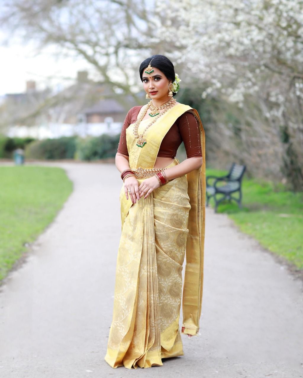 Cream Golden Yellow Boarder Dola Silk Saree