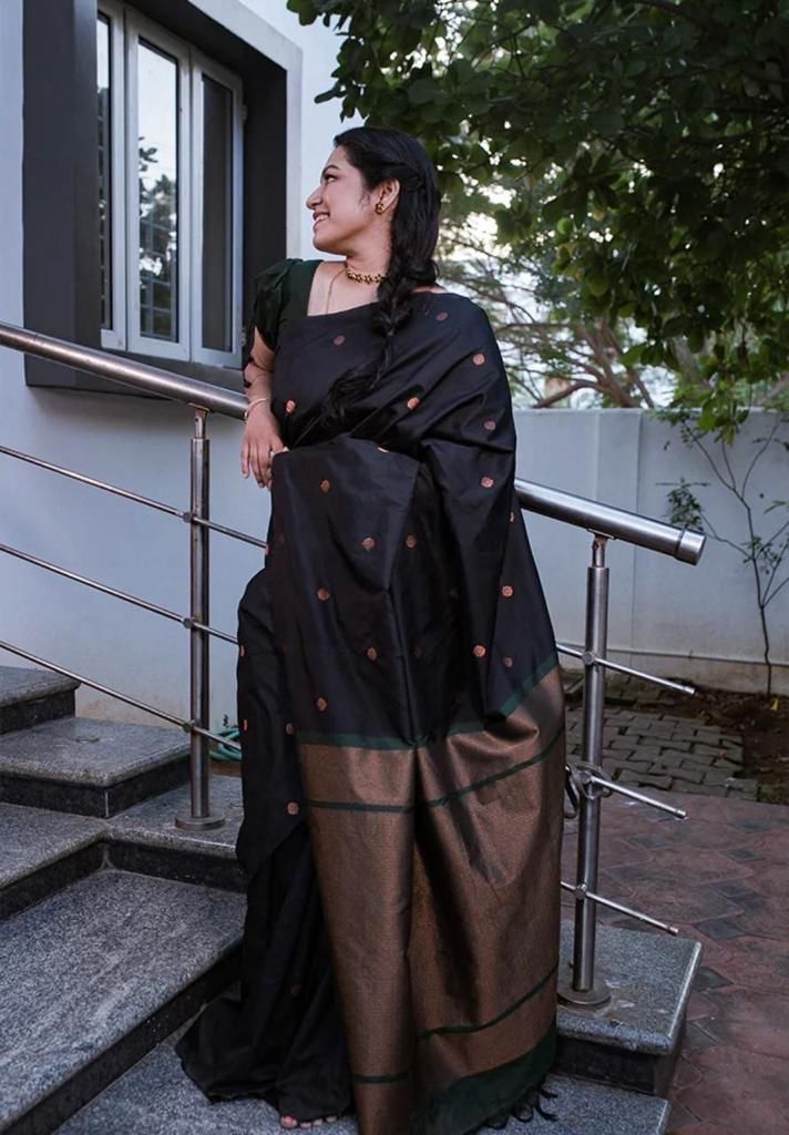 Black Copper Design Boarder Dipali Kanjivaram Silk Saree