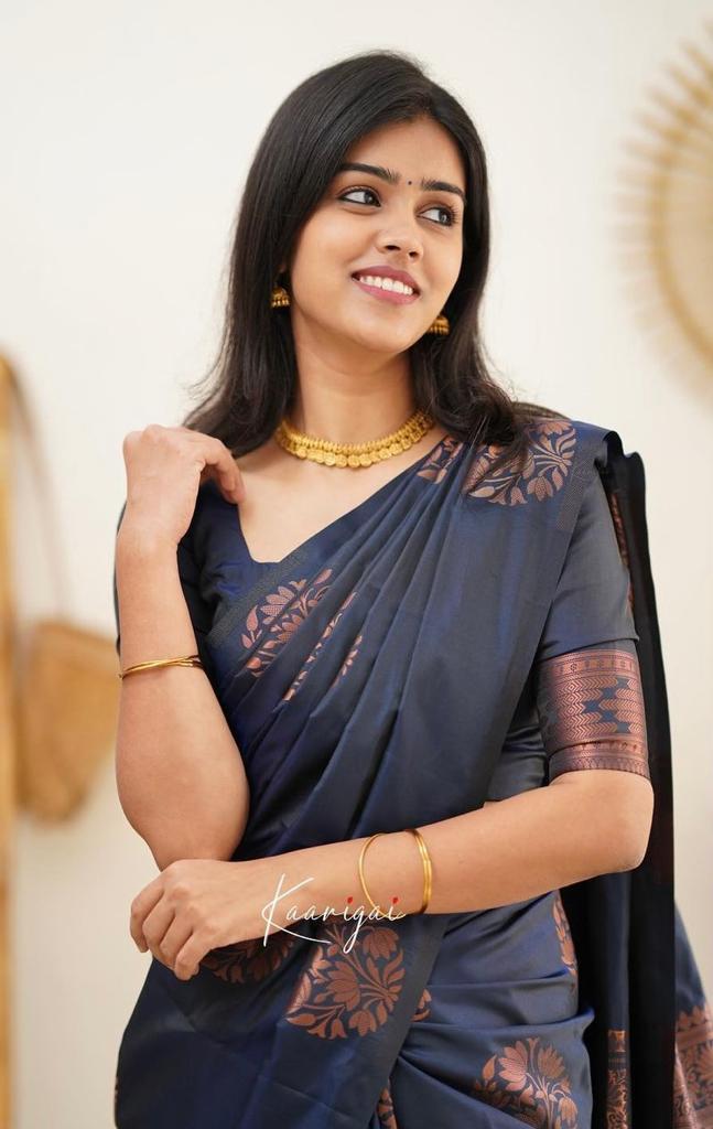 Navy Blue Copper Design Boarder Fuddy Kanjivaram Silk Saree