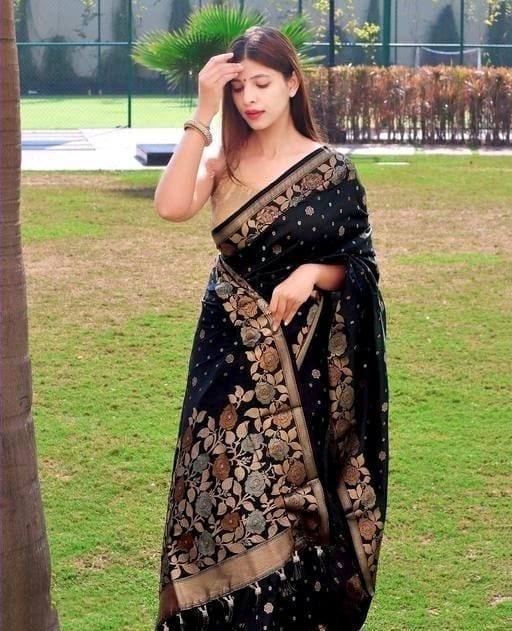 Black In Copper Design Gulabo Dola Silk Saree