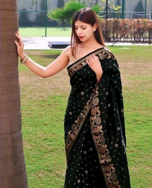 Black In Copper Design Gulabo Dola Silk Saree