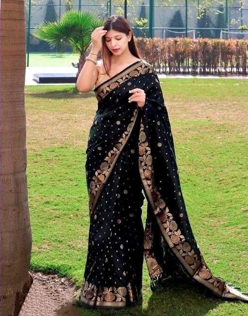 Black In Copper Design Gulabo Dola Silk Saree