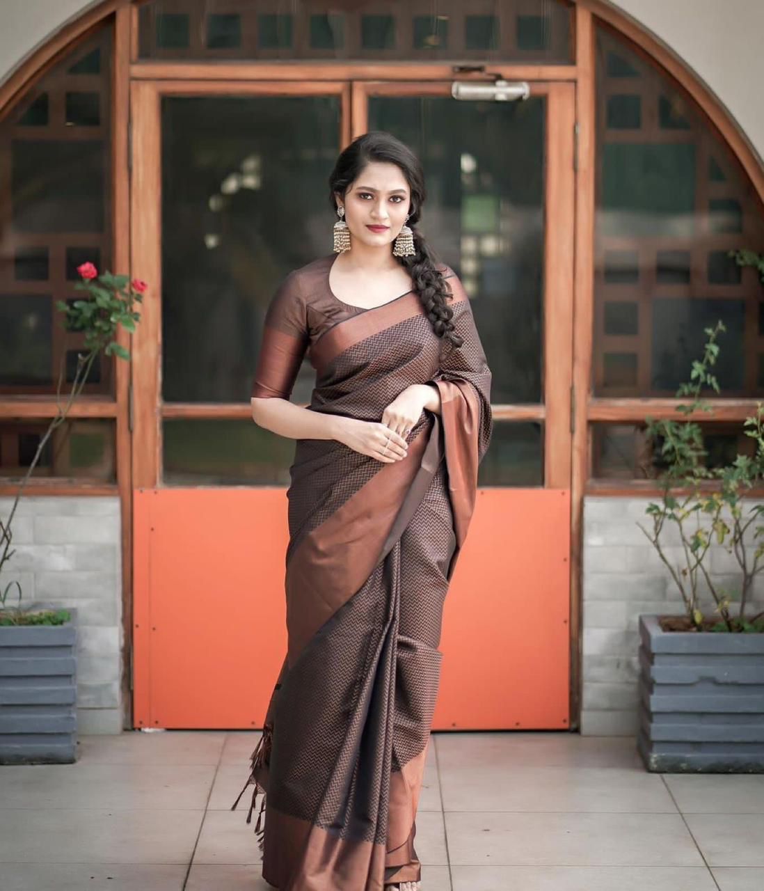 Brown Golden Design Boarder WaveBanarasi Silk Saree