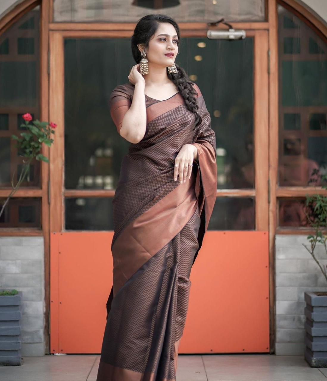 Brown Golden Design Boarder WaveBanarasi Silk Saree