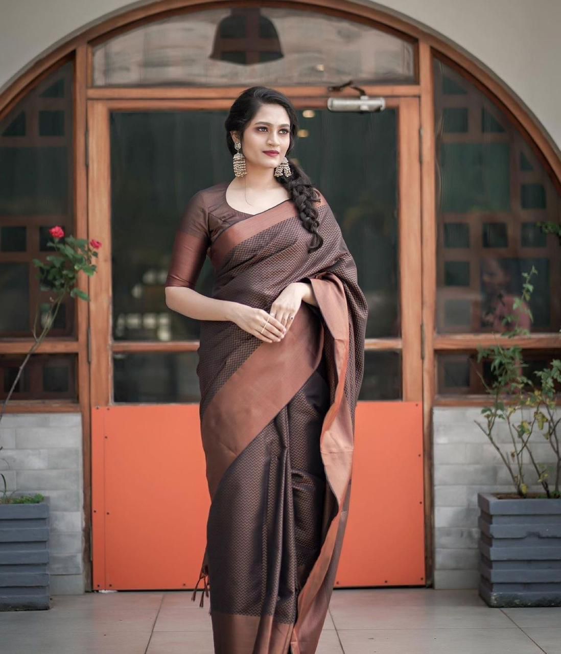 Brown Golden Design Boarder WaveBanarasi Silk Saree