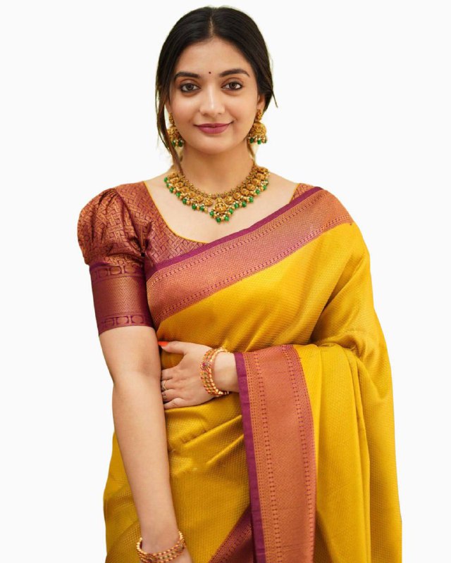 Yellow & Maroon Golden Boarder Anamika Pure Silk Saree